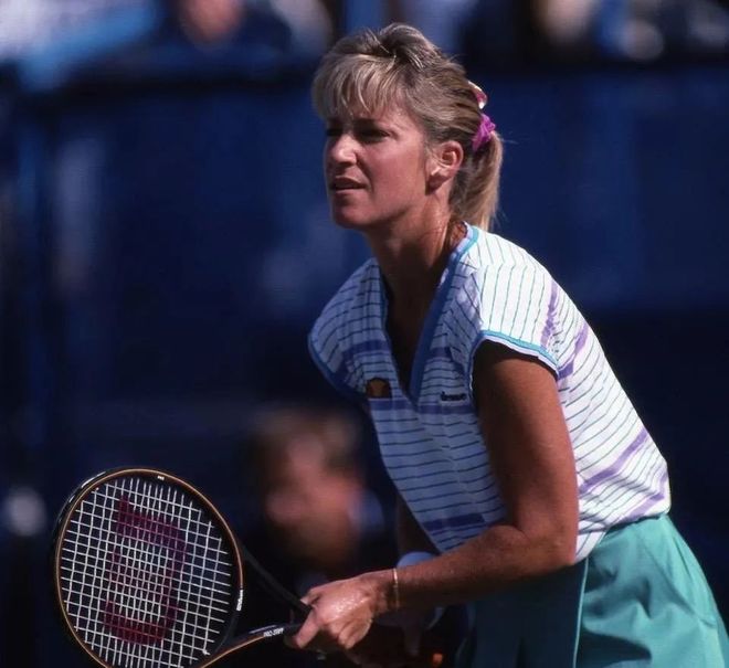 山东泰山因 山东泰山因