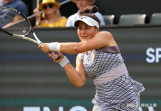 伊布实际上 伊布实际上